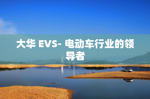 大華 EVS- 電動車行業的領導者