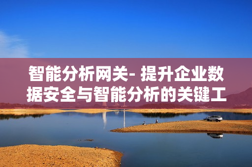 智能分析網(wǎng)關(guān)- 提升企業(yè)數(shù)據(jù)安全與智能分析的關(guān)鍵工具