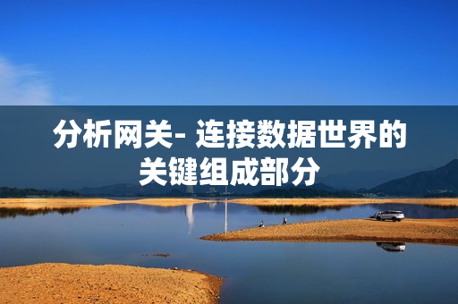 分析網關- 連接數據世界的關鍵組成部分