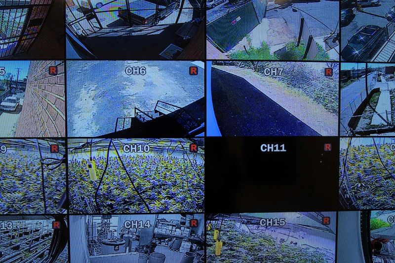 有源視頻質(zhì)量診斷_(質(zhì)量診斷師)